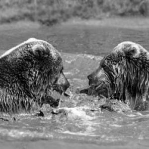 An image for the article.